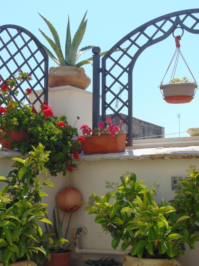 3 Archi B&B Trani Exteriér fotografie